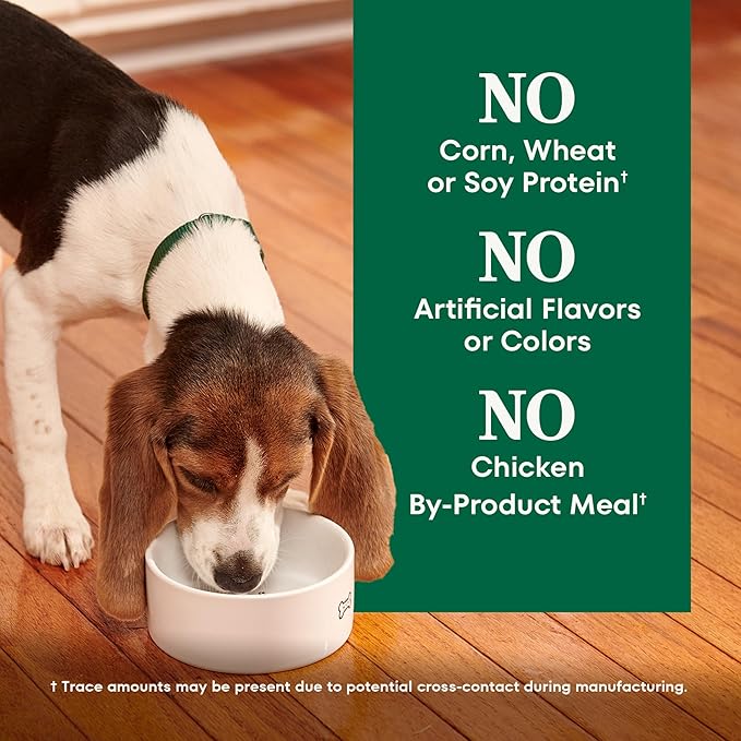 Nutro Natural Choice Chicken & Brown Rice Puppy Food Dry Recipe, 13 lb. Bag