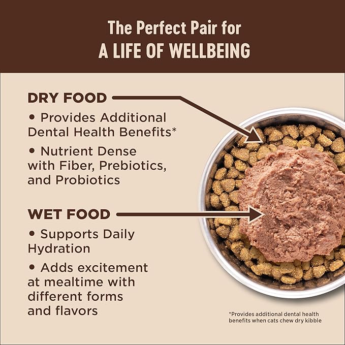 Wellness CORE Adult Dry Cat Food for Indoor & Outdoor Cats, Grain-Free, Natural, Turkey, Turkey Meal and Duck (11 Pound Bag)