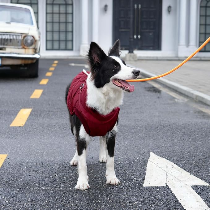 Dog Jacket with Harness,Fleece Lined Warm Puppy Coat for Winter,Soft Windproof Medium Dog Vest,Red XL