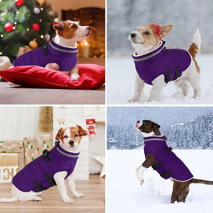 Dogcheer Dog Coat with Harness, Waterproof Dog Jacket Adjustable Pet Winter Coat with Zipper, Christmas Puppy Snow Jacket Fleece Sweater for Small Medium Large Dogs - Purple XL