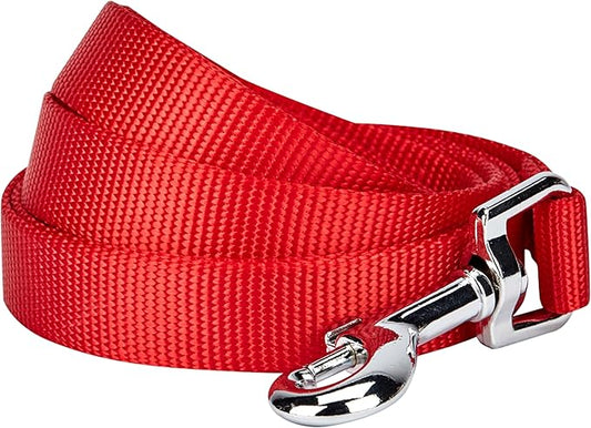 Blueberry Pet Essentials Rouge Red Dog Leash for Medium - 5' * 3/4" Dogs | Heavy Duty Nylon Lead | Lightweight Puppy & Cat Leash for Walking & Training