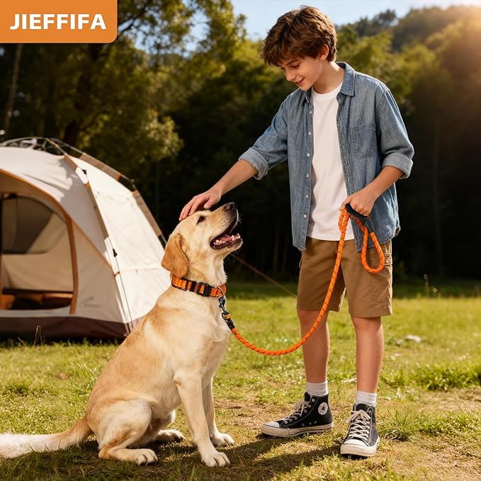 Nylon Dog Leash for Medium Large Dogs, 5-FTReflective Heavy Duty Leash with Comfortable Handle & Poop Bag Dispenser Ring, 1/2 Inch Wide, Secure Reinforcement for Walking (Orange, L)