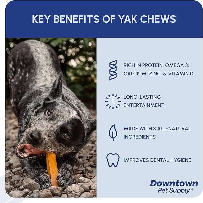 Downtown Pet Supply Yak Cheese Himalayan Dog Chews - Large Yak Chews Rich in Nutrients for Medium to Large Dogs - Long Lasting, Odorless and Easy to Digest Cheese Dog Treats - 1 LB