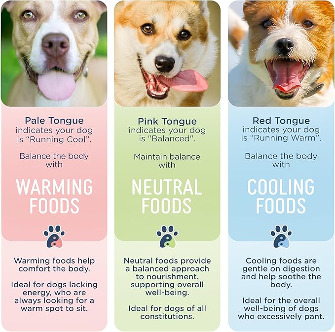 Side by Side Pork & Rabbit | Beef & Salmon Stew - Wet Dog Food & Dog Food Topper for All Breeds - Made with Nutrients & Whole Raw Ingredients - No Artificial Additives or Fillers (12.5 oz, 6-Pack)