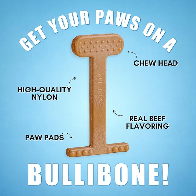 Bullibone Nylon Dog Chew Toy Nylon Bone - Improves Dental Hygiene, Easy to Grip Bottom, and Permeated with Flavor (Beef, Small - Single)