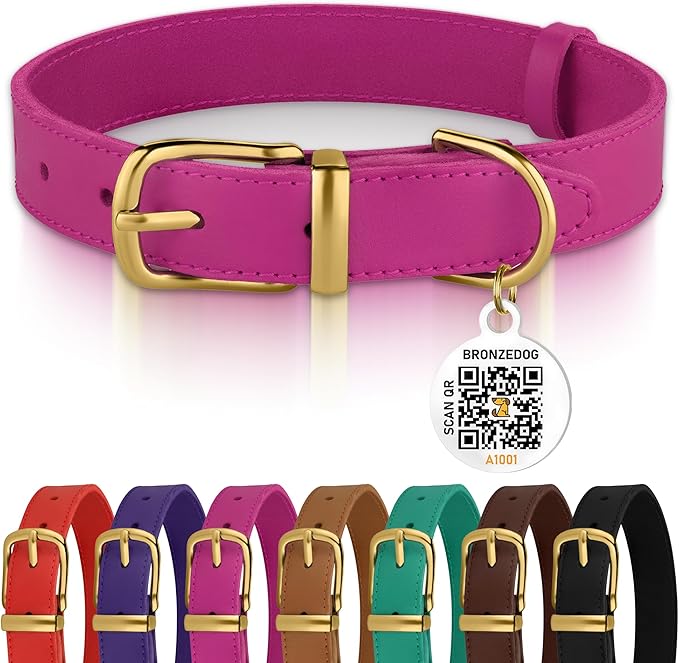 BRONZEDOG Leather Dog Collar with Metal Buckle Durable Basic Pet Collars for Small Medium Large Dogs (19-21 Inch (Pack of 1), Pink & Gold Buckle)