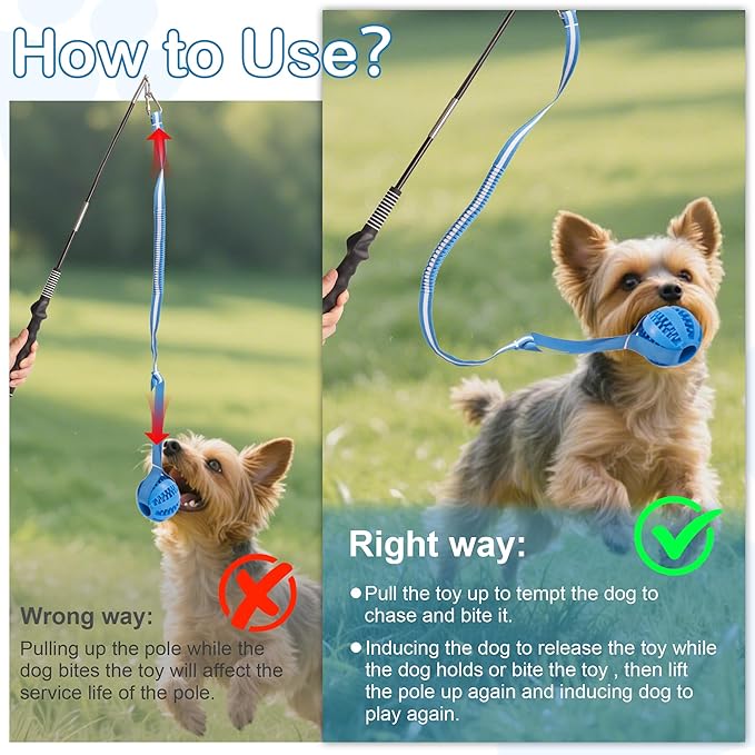 Flirt Pole for Dogs Interactive Dog Pole Toy for Large Medium Small Dogs, Sports Dog Teaser Pole for Tug of War, Flirt Pole with Lure Ball (Standard Pole + Tensile Rope)