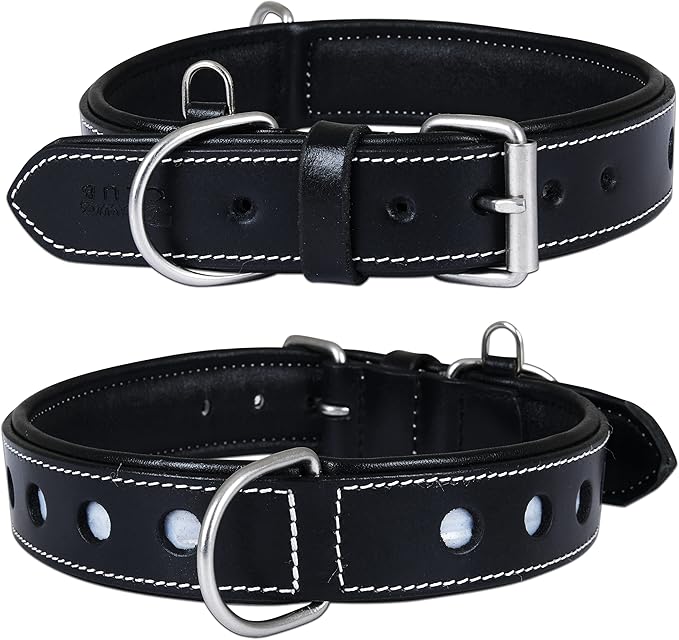 Genuine Leather Dog Collar, Reflctive Collar for Extra Large Dogs, Black | Full Grain, Heavy Duty, Comfortable, Soft Padded, Strong | (X-Large (Fit Neck Size 22"-26"), Raven)