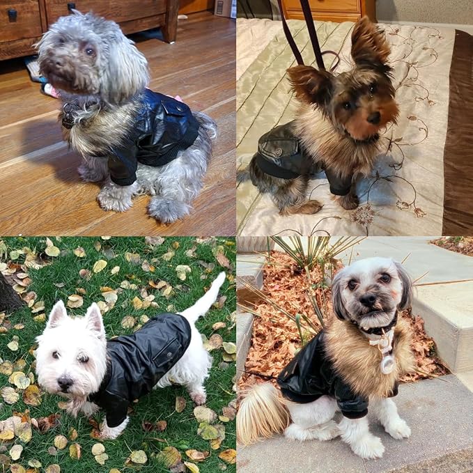 LESYPET Dog Leather Jacket for Small Dogs, Waterproof Dog Winter Jacket Puppy Coat with Fleece Lined, Ultra Warm Fur Collar Doggie Coat, Red L