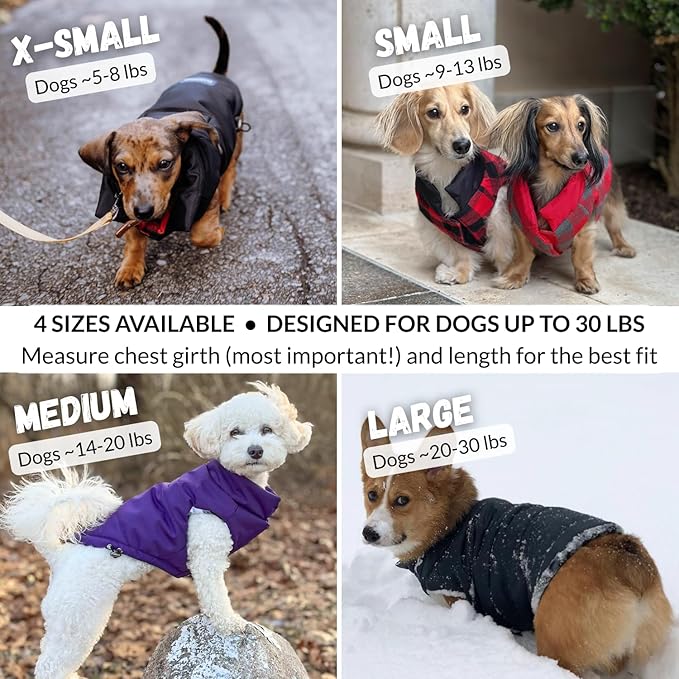 DJANGO Reversible Puffer Dog Coat – Warm Winter Dog Jacket & Water-Repellent Insulated Dog Coat with Harness Hole, Windproof, Adjustable Fit for Small & Medium Dogs, Dachshunds – Lava Red, Large