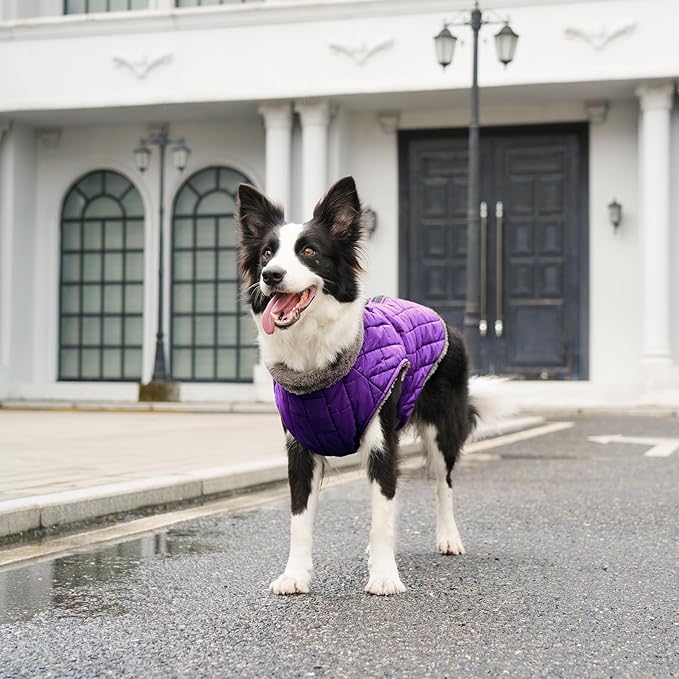 Warm Fleece Dog Coats with Durable Harness Buitl in D-Ring,Waterproof Puppy Jacket for Small Dogs,Dog Vest for Cold Winter,Purple S