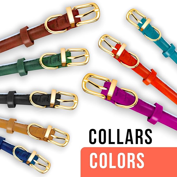 OOPSDOGGY Reflective Rolled Leather Dog Collar Adjustable Soft Padded Pet Collar for Small Medium Large Breed Dogs (Teal, XXS, 7"-9")