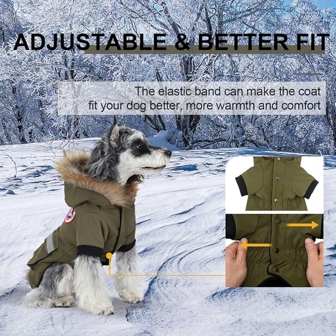 PINA Dog Coats for Small Dogs - Waterproof, Warm Winter Jacket with Faux Fur Hood and Pocket