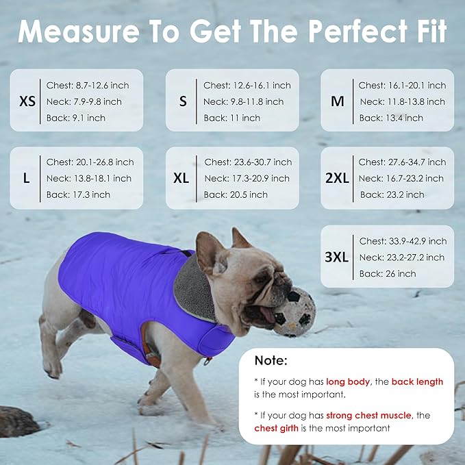 Dog Winter Coat, Waterproof Dog Jacket with Leash Hole, Reflective Adjustable Pet Snow Vest, Warm Fleece Sweater for Small Medium Large Dogs - Blue, XS