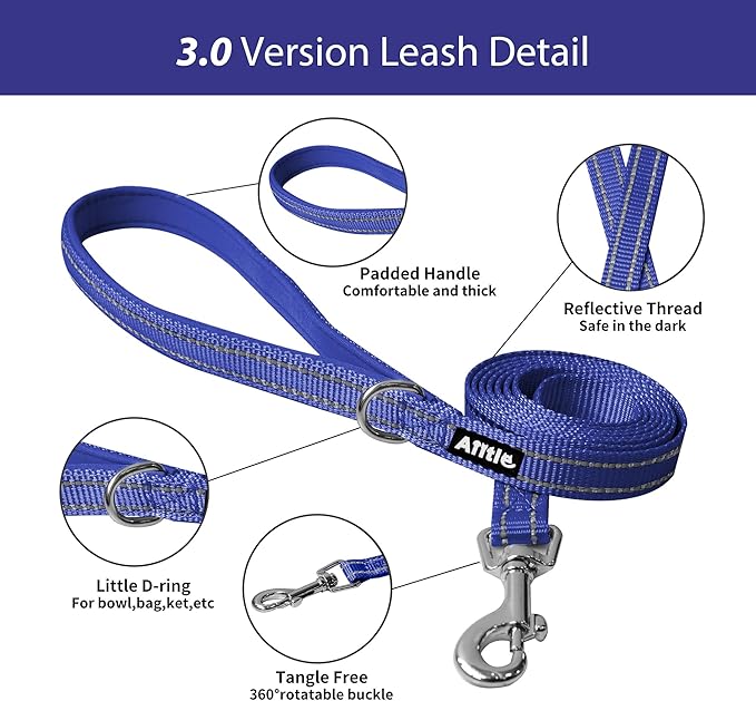 AIITLE Small Harness for Puppy with A Leash - Summer Dog Vest Harness with Super Breathable Mesh, Reflective No-Pull Pet Harness for Outdoor Walking, Camping for Small Dogs, Cats Royal Blue XXS