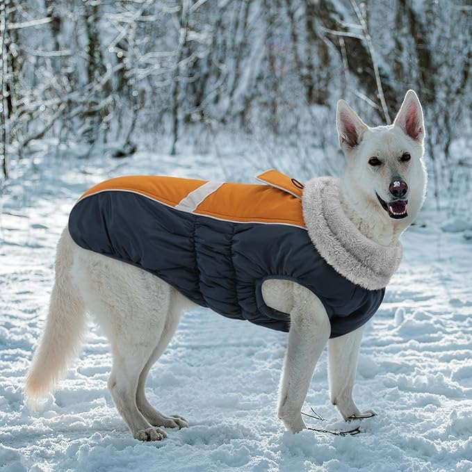 Queenmore Waterproof Dog Coat for Small Dogs,Reflective Windproof Dog Jackets with Leash Hole,Winter Dogs Coat with Zipper On Back,Warm Snowsuit with Fleece Lining（Brown,S