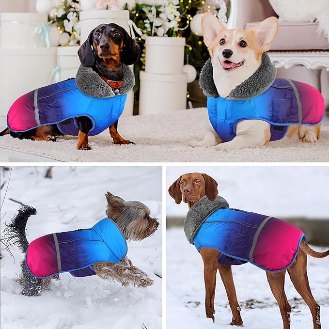 Dogcheer Warm Dog Coat, Waterproof Dog Winter Jacket Christmas Puppy Cold Weather Coats with Buckle, Reflective Adjustable Pet Snow Jacket for Small Medium Large Dogs - Gradient Blue-red, L