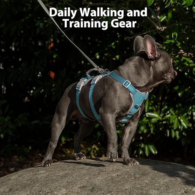 Huntboo No Escape Dog Harness, Escape Proof Harness, Fully Reflective Harness with Padded Handle, Breathable, Durable, Adjustable Vest for Medium Dogs Walking, Training, and Running Gear (Teal,M)