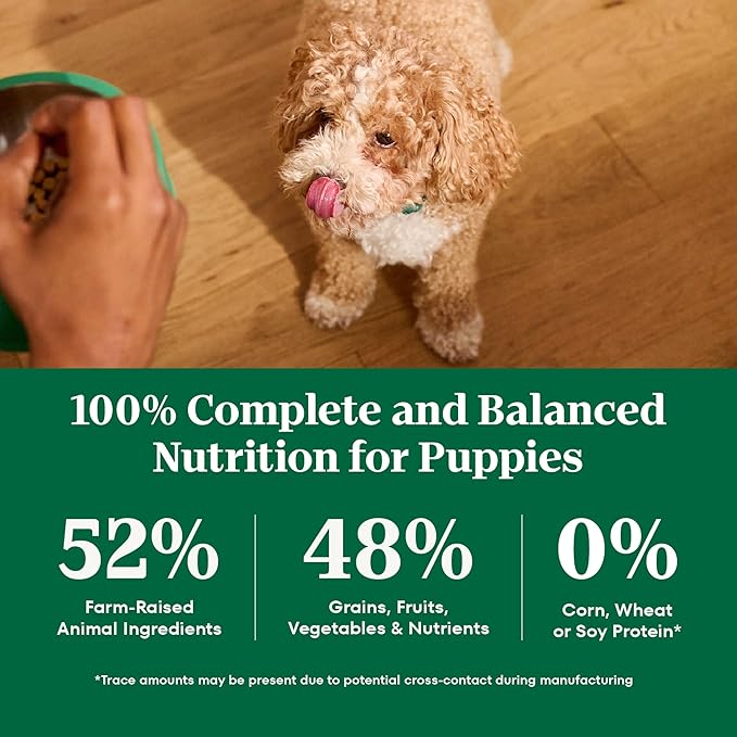 Nutro Natural Choice Chicken & Brown Rice Puppy Food Dry Recipe, 5 lb. Bag