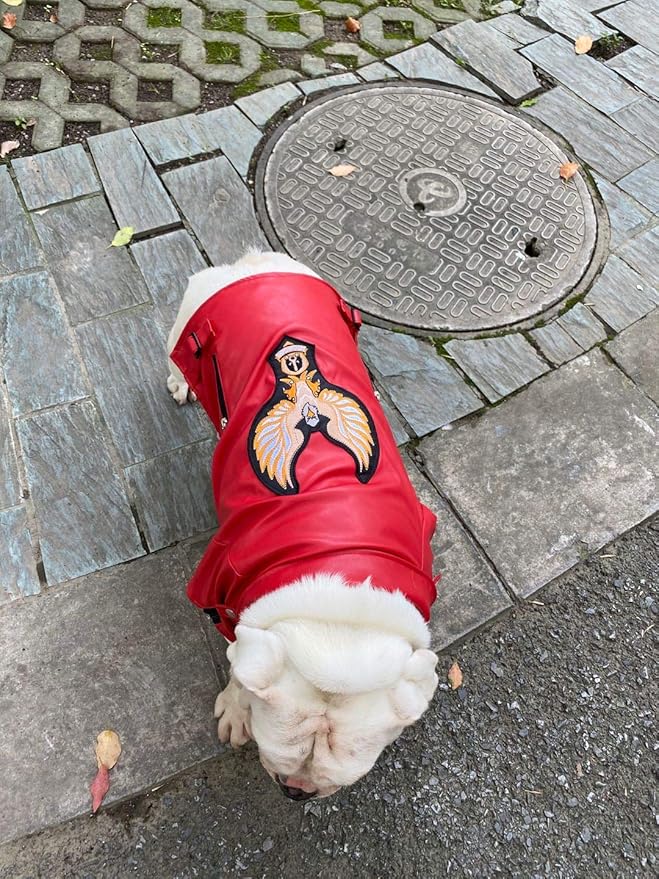 Lovelonglong Cool Dog Leather Jacket, Warm Coats Dogs Windproof Cold Weather Coats for Large Medium Small Dogs with Eagle Embroidery Red B-L
