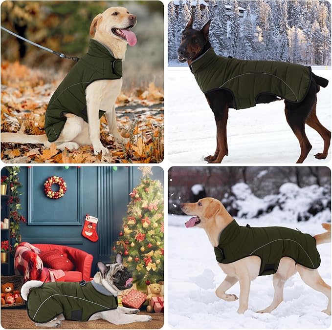 HEYWEAN Dog Winter Coat - Waterproof Windproof Reflective Vest for Medium & Large Breeds Adjustable Warm FleeceLined Jacket with Magic Tape & D-Ring for Leash Cold Weather Apparel (Green, X-Large)