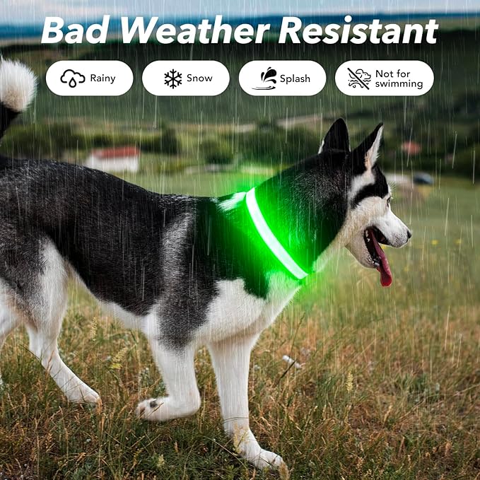 Visinite Light Up Dog Collar, Reflective LED Dog Collar, Adjustable Lighted Dog Collars Rechargeable Waterproof, Bright Dog Glow Collar for Pet Safety at Night Walking, Fit Large Medium Dogs