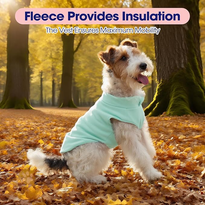 FUAMEY Dog Fleece Vest for Small Dogs,Warm Stretchy Dog Sweatshirts Pullover with Leash Hole Dogs Sweater Soft Pet Turtleneck Cozy Pet Vest Lightweight Sleeveless Blue XS