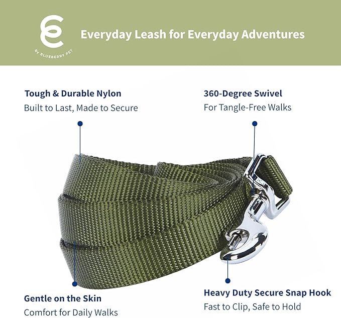 Blueberry Pet Essentials Military Green Dog Leash for Small -5' * 5/8" Dogs | Heavy Duty Nylon Lead | Lightweight Puppy & Cat Leash for Walking & Training