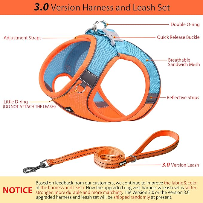 AIITLE Comfortable Dog Harness and Leash Set for Walking - Summer Step in Vest Harness,Reflective Bands, Adjustable No Pull Puppy Essentials, for Small Dogs and House Cats Orange XS
