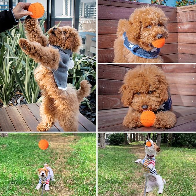 LaRoo Squeaky Dog Ball Toy, Durable Natural Rubber Squeaker Ball Floating Throwing Training, Teeth Cleaning Chew Toy for Pet Small Medium Large Dogs (6.5CM Orange)