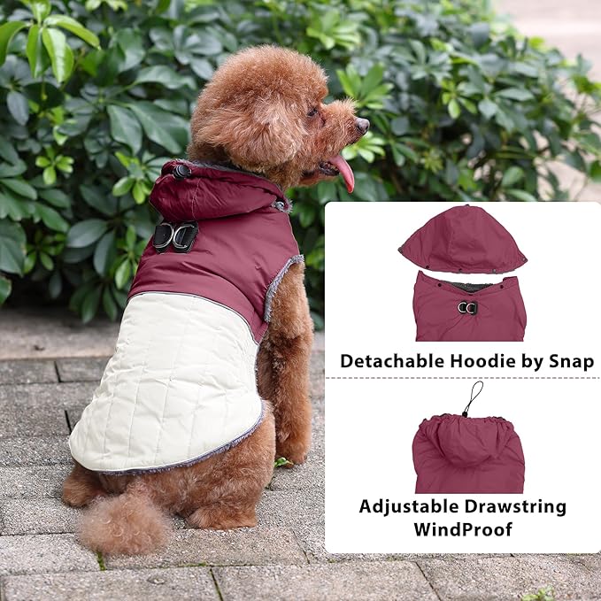 Detachable Hooded Dog Coat with Harness for Small Dogs,Super Warm Fleece Puppy Jacket for Cold Winter Doggie Coats,Red XS