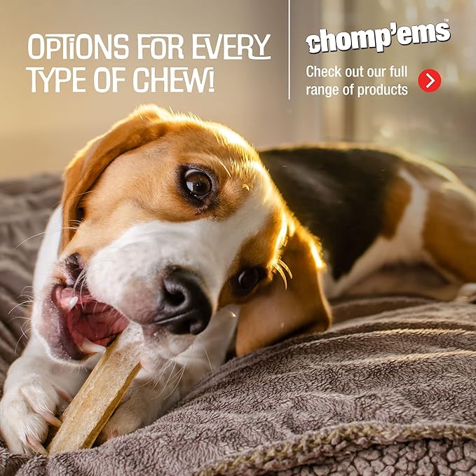 CHOMP 'EMS Ruffin' It 21013 Purehide Dog Chew, Size 12