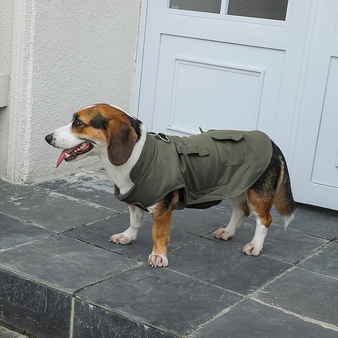 Workwear Style Dog Coats with Harness Built in for Small Dogs Windproof Warm Puppy Jacket with Storage Pockets for Cold Winter,Green L