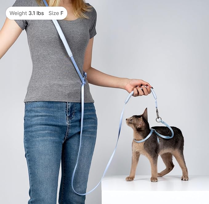 Sierra Blue M Cat Harness and Leash Set, Lightweight Escape Proof, Adjustable, Walking Training