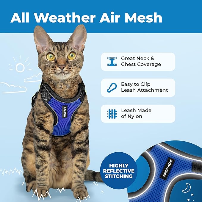 Voyager Escape Proof Cat Harness and Leash Set with Reflective Stitching, Neoprene Handle 5ft - Supports Small, Medium and Large Cats, Kittens for Walking by Best Pet Supplies - BT-Royal Blue, XS