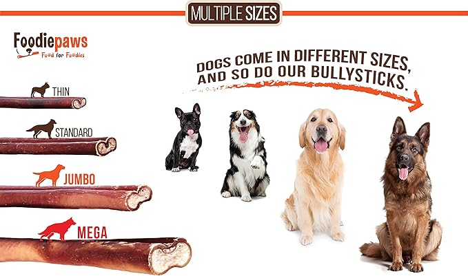 FOODIEPAWS 6 Inch Bully Sticks for Dogs, 15 Pack | All Natural, Grass-Fed Beef | High Protein, Rawhide-Free, Fully Digestible Dog Chews | Long Lasting Dental Treats for All Breeds