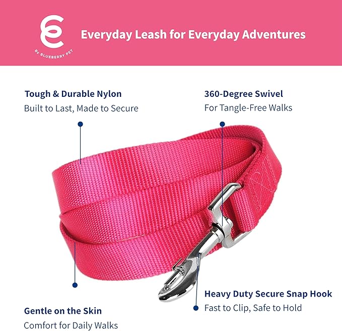 Blueberry Pet Essentials French Pink Dog Leash for Medium - 5' * 3/4" Dogs | Heavy Duty Nylon Lead | Lightweight Puppy & Cat Leash for Walking & Training