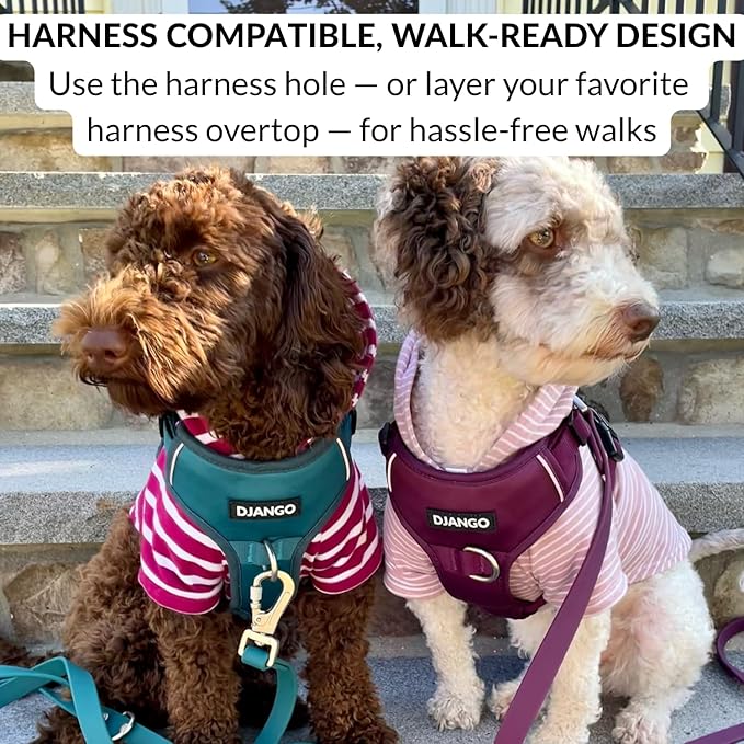 DJANGO Dog Hoodie – Warm, Lightweight, Soft & Stretchy Dog Sweater with Hood, Harness Hole & Elastic Waistband – Cozy Sweatshirt for Small Dogs up to 25 lbs, Dachshunds & Puppies – Blush Pink, Medium