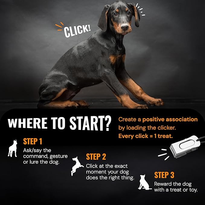 3-Pack Dog Clicker (Silver, Gold, Black) - Clickers for Pet Training – Easy-to-Carry Dog Training & Behavior Aids - Teach Your Dog Tricks or Reward His Behavior