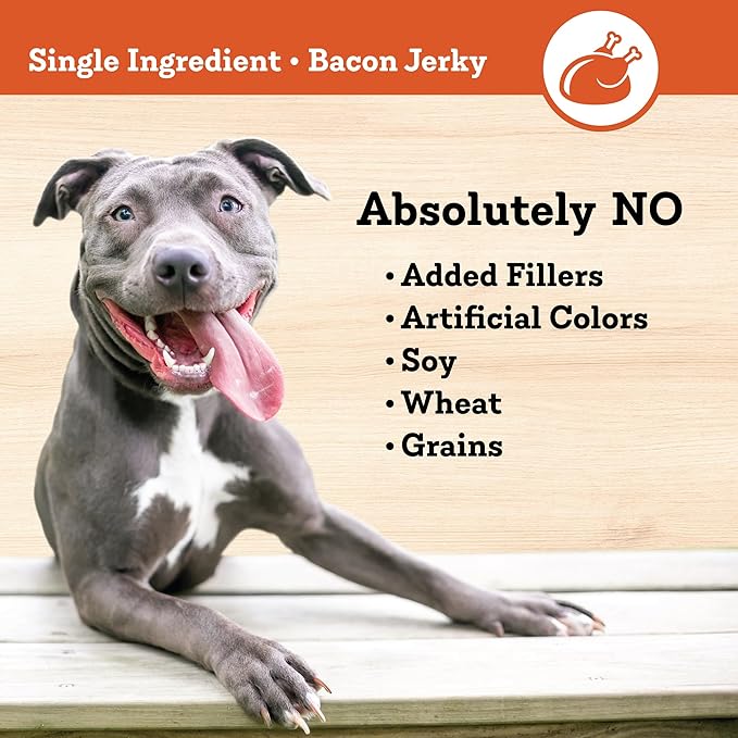 Colorado Naturals Salmon Jerky Chips Dog Treats, 6 oz – All-Natural, Made in USA, No Fillers or Preservatives – Wild Alaskan Caught, Rich with Omega-3