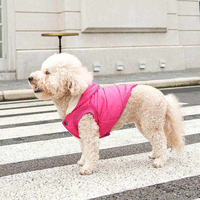 Fleece Lining Extra Warm Dog Hoodie in Winter,Small Dog Jacket Puppy Coats with Hooded Pink XS