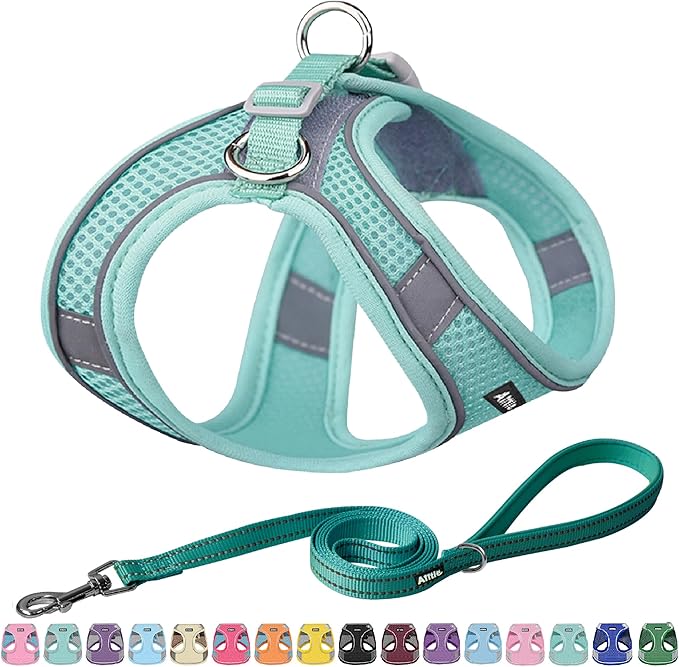 AIITLE Escape Proof Dog Harness - Step in Adjustable Dog Harness No Choke Over with Quick-Release Buckle for Summer- Outdoor Walking, Camping, Training for Medium Dogs Pure Turquoise XL