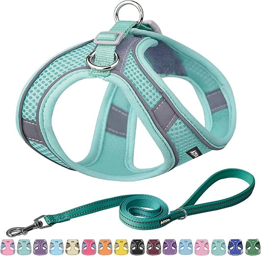 AIITLE Step in Dog Harness and Leash Set - Summer No Pull Escape Proof Vest Harnesses with Soft Mesh and Reflective Bands, Adjustable Pet Outdoor Harnesses for Small and Medium Dogs Pure Turquoise M