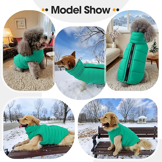 Dog Puffer Jacket with Detachable Neck Wrap for Small Dogs, Waterproof Dog Vest with Back Zipper, Winter Coat Fleece Elastic Band on Chest for Dogs, Bichon Frise, Chihuahua, Green XS