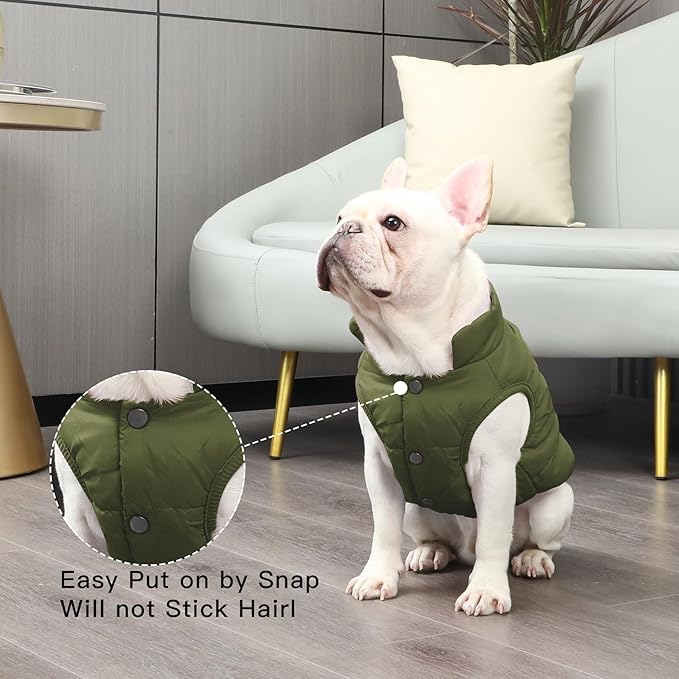 2 Layers Fleece Lined Warm Dog Jacket for Puppy Winter Cold Weather,Soft Windproof Small Dog Coat,Green M