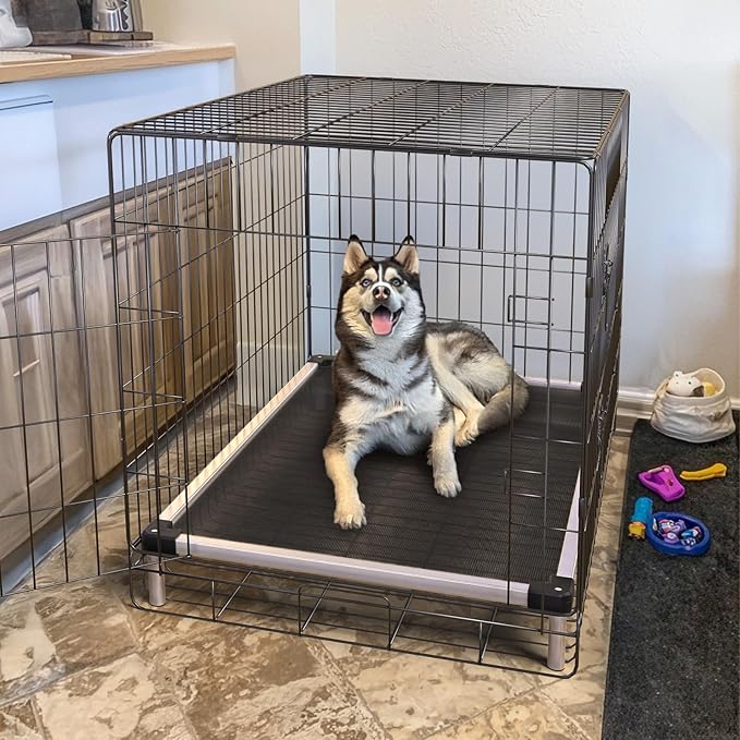FXW TitanNest Chew-Proof Elevated Dog Bed, Raised Cot for Indoor/Outdoor/Camping Use, Durable & Waterproof Cooling Pet Bed for Medium Dogs, 41.0" L x 27.0" W x 5.0" H, Black