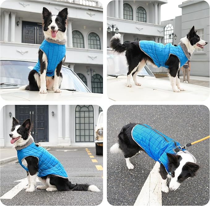 Warm Fleece Dog Coats with Durable Harness Buitl in D-Ring,Waterproof Puppy Jacket for Small Dogs,Dog Vest for Cold Winter,Light Blue XS
