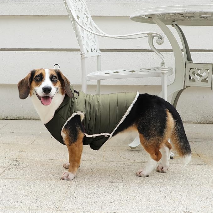 Fleece Lining Dog Hoodie with Harness Built in,Extra Warm Medium Dog Jacket in Winter Doggie Coats with Drawstring Hooded,Green XL