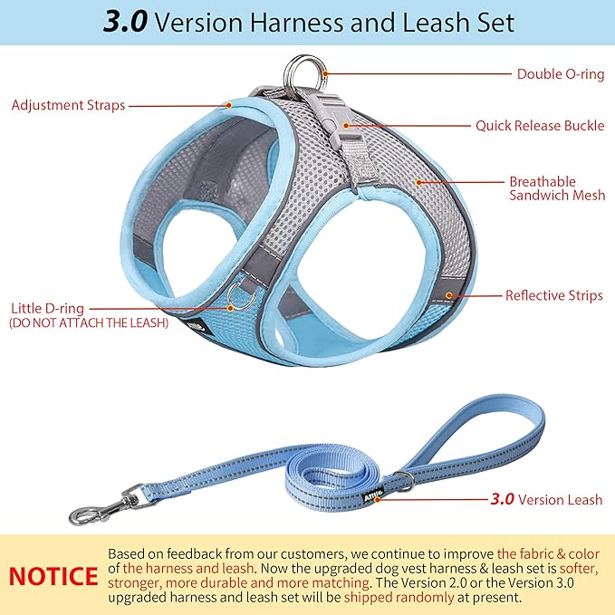AIITLE Comfortable Dog Harness and Leash Set for Walking - Summer Step in Vest Harness,Reflective Bands, Adjustable No Pull Puppy Essentials, for Small Dogs and House Cats Blue XS