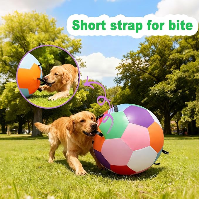 Herding Ball for Dogs, 25 inches Large Dog Toys for Australian Shepherd, Keep Them Busy for Exercise & Mental Stimulation, Interactive Collie Ball with Strap, Colorful